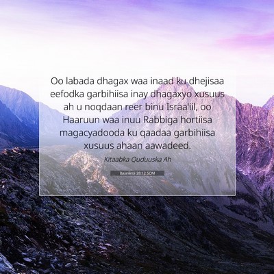 Picture 07 - Baxniintii 28:12 SOM - Oo labada dhagax waa inaad ku dhejisaa eefodka - Bible Verse Picture