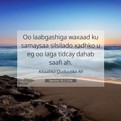 Picture 07 - Baxniintii 28:22 SOM - Oo laabgashiga waxaad ku samaysaa silsilado - Bible Verse Picture