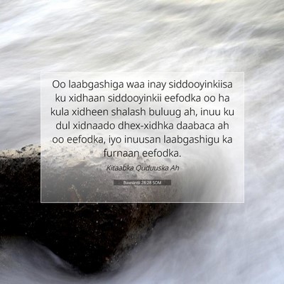 Picture 07 - Baxniintii 28:28 SOM - Oo laabgashiga waa inay siddooyinkiisa ku xidhaan - Bible Verse Picture
