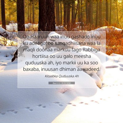 Picture 07 - Baxniintii 28:35 SOM - Oo Haaruun waa inuu gashado inuu ku adeego; oo - Bible Verse Picture