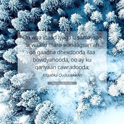 Picture 07 - Baxniintii 28:42 SOM - Oo waa inaad iyaga u samaysaa sirwaallo maro - Bible Verse Picture