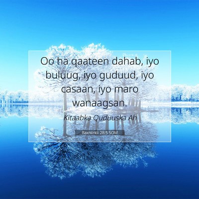 Picture 07 - Baxniintii 28:5 SOM - Oo ha qaateen dahab, iyo buluug, iyo guduud, iyo - Bible Verse Picture