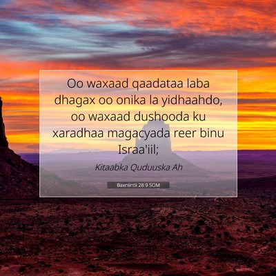 Picture 07 - Baxniintii 28:9 SOM - Oo waxaad qaadataa laba dhagax oo onika la - Bible Verse Picture
