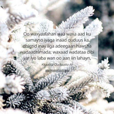 Picture 07 - Baxniintii 29:1 SOM - Oo waxyaalahan waa waxa aad ku samayso iyaga - Bible Verse Picture