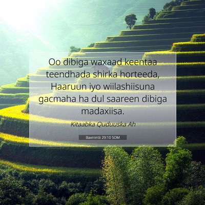 Picture 07 - Baxniintii 29:10 SOM - Oo dibiga waxaad keentaa teendhada shirka - Bible Verse Picture