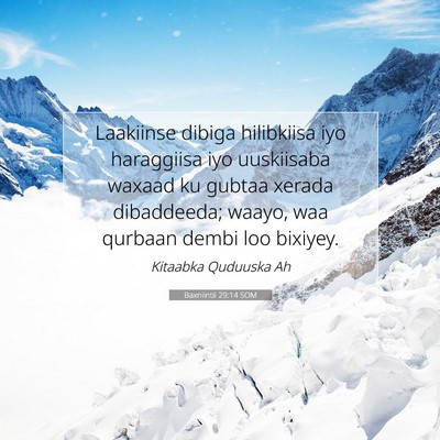 Picture 07 - Baxniintii 29:14 SOM - Laakiinse dibiga hilibkiisa iyo haraggiisa iyo - Bible Verse Picture