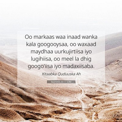 Picture 07 - Baxniintii 29:17 SOM - Oo markaas waa inaad wanka kala googooysaa, oo - Bible Verse Picture