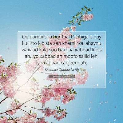 Picture 07 - Baxniintii 29:23 SOM - Oo dambiisha hor taal Rabbiga oo ay ku jirto - Bible Verse Picture
