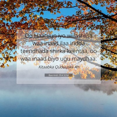 Picture 07 - Baxniintii 29:4 SOM - Oo Haaruun iyo wiilashiisa waa inaad ilaa iridda - Bible Verse Picture