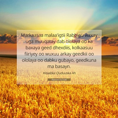 Picture 07 - Baxniintii 3:2 SOM - Markaasaa malaa'igtii Rabbigu waxay uga muuqatay - Bible Verse Picture