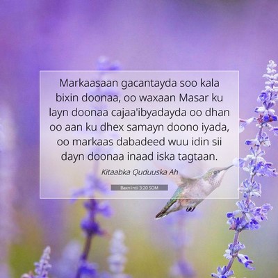 Picture 07 - Baxniintii 3:20 SOM - Markaasaan gacantayda soo kala bixin doonaa, oo - Bible Verse Picture