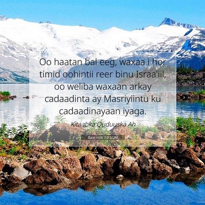 Picture 07 - Baxniintii 3:9 SOM - Oo haatan bal eeg, waxaa i hor timid oohintii - Bible Verse Picture