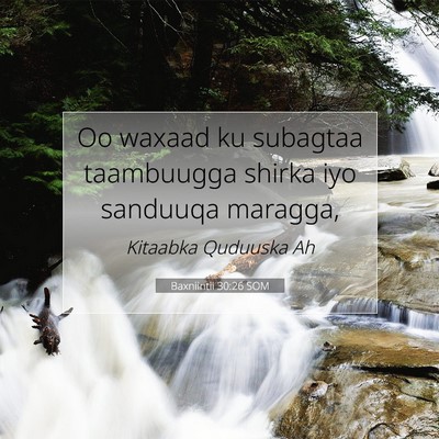 Picture 07 - Baxniintii 30:26 SOM - Oo waxaad ku subagtaa taambuugga shirka iyo - Bible Verse Picture