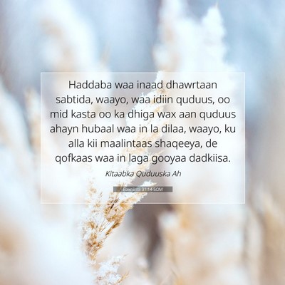 Picture 07 - Baxniintii 31:14 SOM - Haddaba waa inaad dhawrtaan sabtida, waayo, waa - Bible Verse Picture