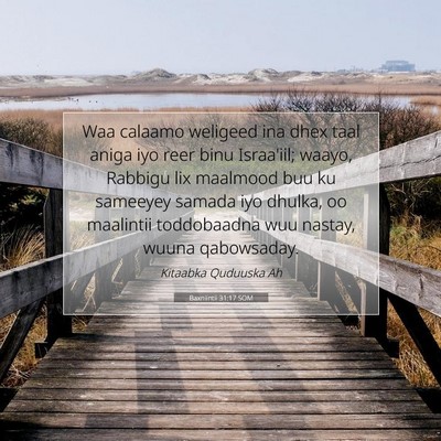 Picture 07 - Baxniintii 31:17 SOM - Waa calaamo weligeed ina dhex taal aniga iyo reer - Bible Verse Picture