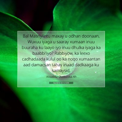 Picture 07 - Baxniintii 32:12 SOM - Bal Masriyiintu maxay u odhan doonaan, Wuxuu - Bible Verse Picture