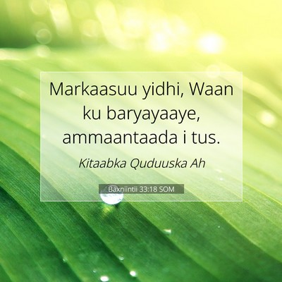 Picture 07 - Baxniintii 33:18 SOM - Markaasuu yidhi, Waan ku baryayaaye, ammaantaada - Bible Verse Picture