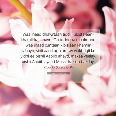 Picture 07 - Baxniintii 34:18 SOM - Waa inaad dhawrtaan Iiddii - Bible Verse Picture