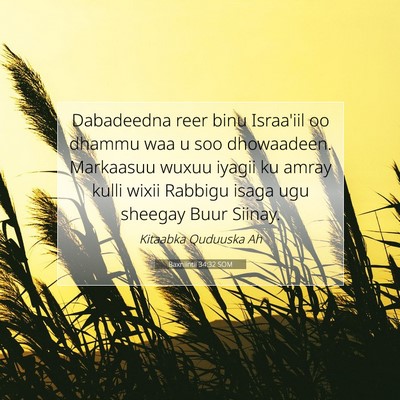 Picture 07 - Baxniintii 34:32 SOM - Dabadeedna reer binu Israa'iil oo dhammu waa u - Bible Verse Picture