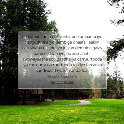 Picture 07 - Baxniintii 34:7 SOM - oo kumankun u naxariista, oo xumaanta iyo - Bible Verse Picture