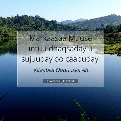 Picture 07 - Baxniintii 34:8 SOM - Markaasaa Muuse intuu dhaqsaday u sujuuday oo - Bible Verse Picture