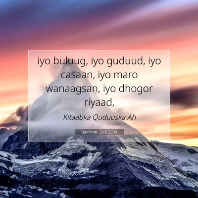 Picture 07 - Baxniintii 35:6 SOM - iyo buluug, iyo guduud, iyo casaan, iyo maro - Bible Verse Picture