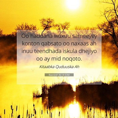 Picture 07 - Baxniintii 36:18 SOM - Oo haddana wuxuu sameeyey konton qabsato oo - Bible Verse Picture