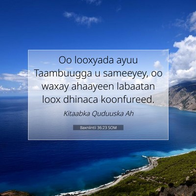 Picture 07 - Baxniintii 36:23 SOM - Oo looxyada ayuu Taambuugga u sameeyey, oo waxay - Bible Verse Picture