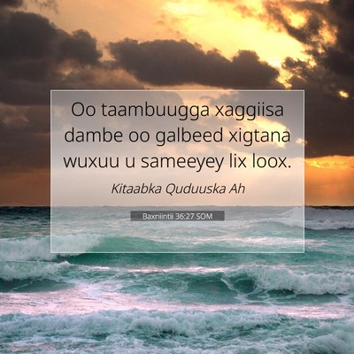 Picture 07 - Baxniintii 36:27 SOM - Oo taambuugga xaggiisa dambe oo galbeed xigtana - Bible Verse Picture