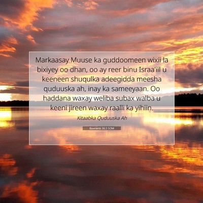 Picture 07 - Baxniintii 36:3 SOM - Markaasay Muuse ka guddoomeen wixii la bixiyey oo - Bible Verse Picture