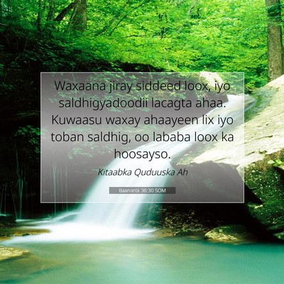 Picture 07 - Baxniintii 36:30 SOM - Waxaana jiray siddeed loox, iyo saldhigyadoodii - Bible Verse Picture