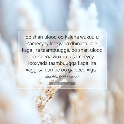 Picture 07 - Baxniintii 36:32 SOM - oo shan ulood oo kalena wuxuu u sameeyey looxyada - Bible Verse Picture