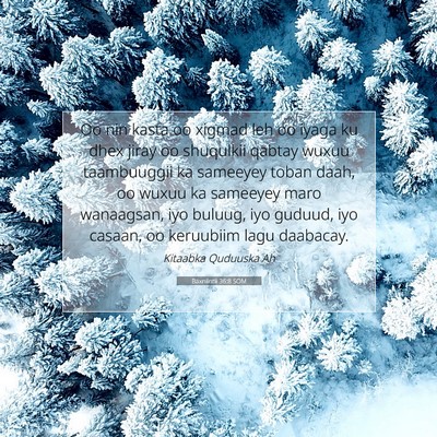 Picture 07 - Baxniintii 36:8 SOM - Oo nin kasta oo xigmad leh oo iyaga ku dhex jiray - Bible Verse Picture