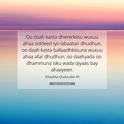 Picture 07 - Baxniintii 36:9 SOM - Oo daah kasta dhererkiisu wuxuu ahaa siddeed iyo - Bible Verse Picture