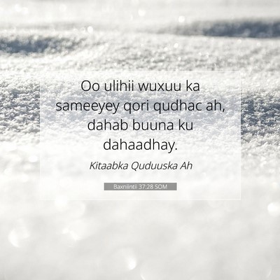 Picture 07 - Baxniintii 37:28 SOM - Oo ulihii wuxuu ka sameeyey qori qudhac ah, dahab - Bible Verse Picture