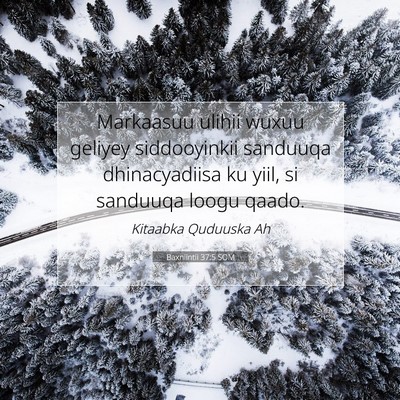 Picture 07 - Baxniintii 37:5 SOM - Markaasuu ulihii wuxuu geliyey siddooyinkii - Bible Verse Picture