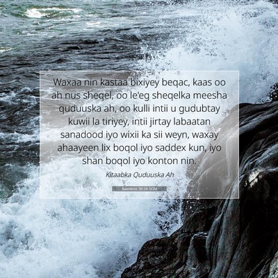 Picture 07 - Baxniintii 38:26 SOM - Waxaa nin kastaa bixiyey beqac, kaas oo ah nus - Bible Verse Picture