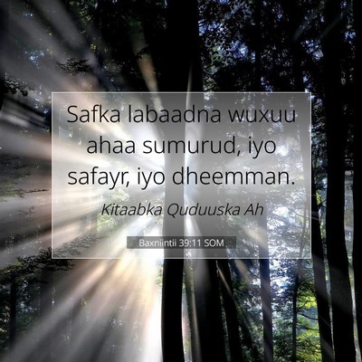 Picture 07 - Baxniintii 39:11 SOM - Safka labaadna wuxuu ahaa sumurud, iyo safayr, - Bible Verse Picture