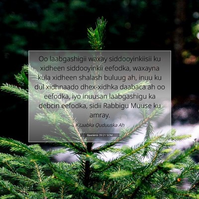 Picture 07 - Baxniintii 39:21 SOM - Oo laabgashigii waxay siddooyinkiisii ku xidheen - Bible Verse Picture