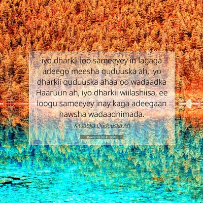 Picture 07 - Baxniintii 39:41 SOM - iyo dharkii loo sameeyey in lagaga adeego meesha - Bible Verse Picture