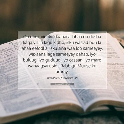 Picture 07 - Baxniintii 39:5 SOM - Oo dhex-xidhkii daabaca lahaa oo dusha kaga yiil - Bible Verse Picture