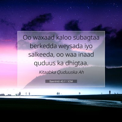 Picture 07 - Baxniintii 40:11 SOM - Oo waxaad kaloo subagtaa berkedda weysada iyo - Bible Verse Picture