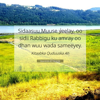 Picture 07 - Baxniintii 40:16 SOM - Sidaasuu Muuse yeelay, oo sidii Rabbigu ku amray - Bible Verse Picture