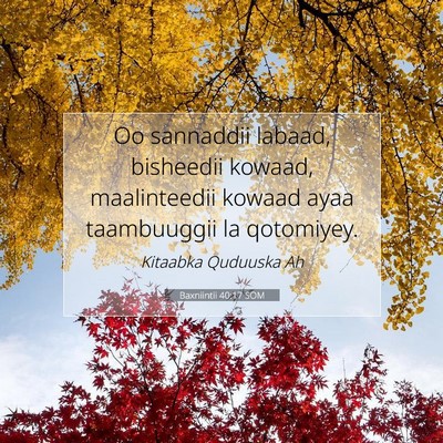 Picture 07 - Baxniintii 40:17 SOM - Oo sannaddii labaad, bisheedii kowaad, - Bible Verse Picture