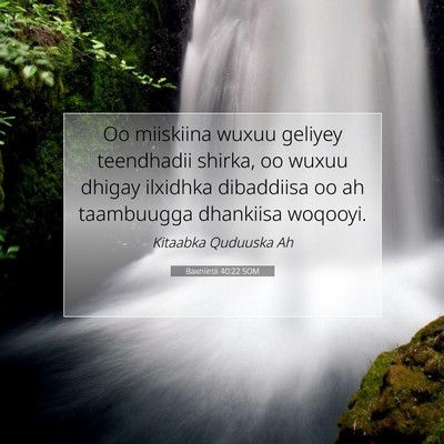 Picture 07 - Baxniintii 40:22 SOM - Oo miiskiina wuxuu geliyey teendhadii shirka, oo - Bible Verse Picture