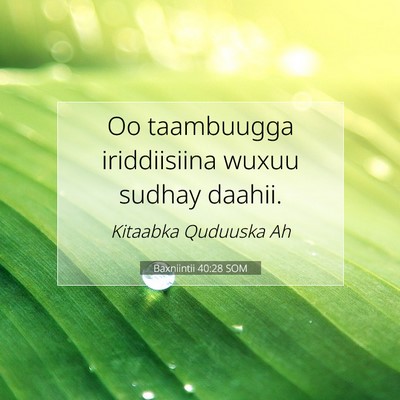 Picture 07 - Baxniintii 40:28 SOM - Oo taambuugga iriddiisiina wuxuu sudhay - Bible Verse Picture