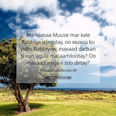 Picture 07 - Baxniintii 5:22 SOM - Markaasaa Muuse mar kale Rabbiga u jeestay, oo - Bible Verse Picture
