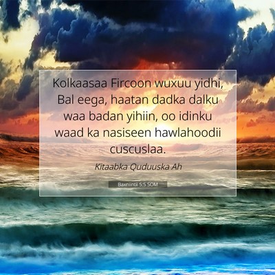 Picture 07 - Baxniintii 5:5 SOM - Kolkaasaa Fircoon wuxuu yidhi, Bal eega, haatan - Bible Verse Picture