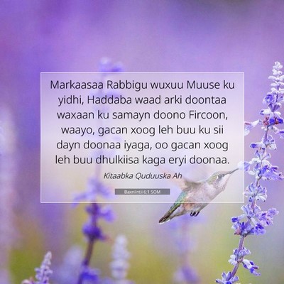 Picture 07 - Baxniintii 6:1 SOM - Markaasaa Rabbigu wuxuu Muuse ku yidhi, Haddaba - Bible Verse Picture