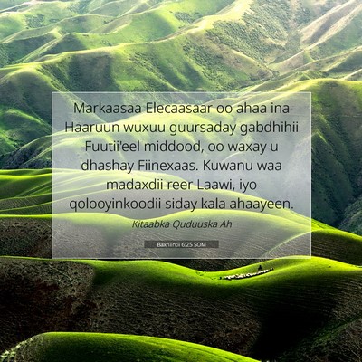 Picture 07 - Baxniintii 6:25 SOM - Markaasaa Elecaasaar oo ahaa ina Haaruun wuxuu - Bible Verse Picture